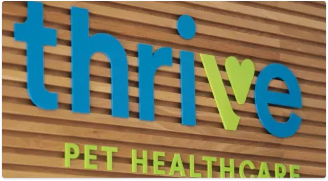 Case Studies - Video Cards - Video 3 Case Studies - Video Cards - Video 3