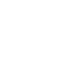 Secure lock icon