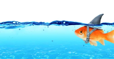 Phake phishing: Phundamental or pholly?