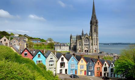 Cork